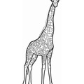 Realistic_Giraffe_Coloring_Pages_001.jpg