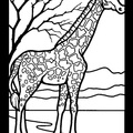 Realistic_Giraffe_Coloring_Pages_002.jpg