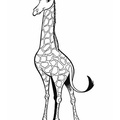 Realistic_Giraffe_Coloring_Pages_004.jpg