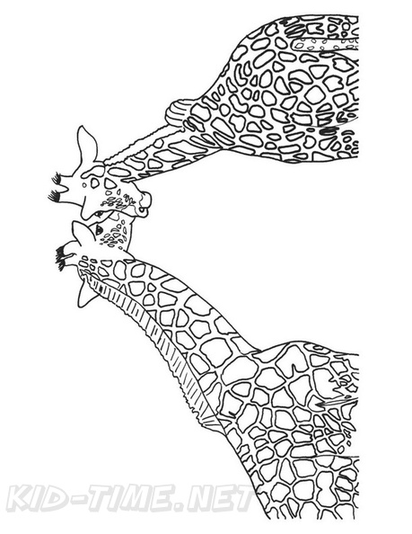 Realistic Giraffe Coloring Book Pages