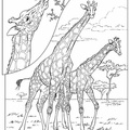 Realistic_Giraffe_Coloring_Pages_017.jpg