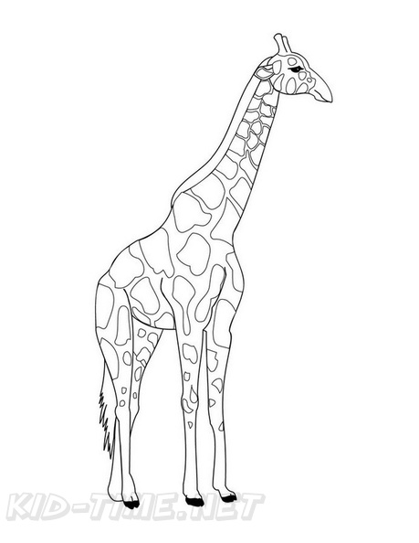Realistic_Giraffe_Coloring_Pages_020.jpg