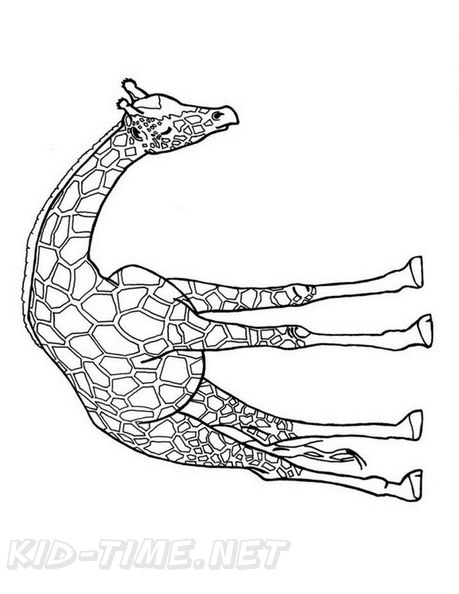 Realistic Giraffe Coloring Book Pages