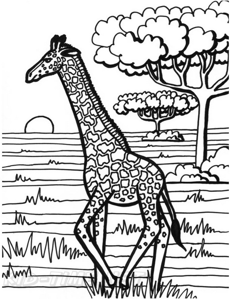 Realistic_Giraffe_Coloring_Pages_023.jpg