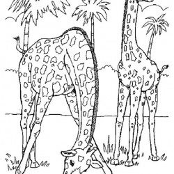 Realistic Giraffe