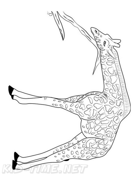 Realistic Giraffe Coloring Book Pages