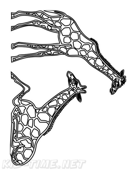 Realistic_Giraffe_Coloring_Pages_031.jpg