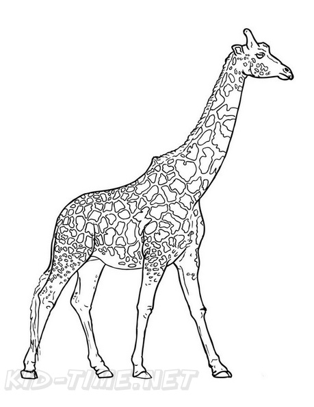 Realistic_Giraffe_Coloring_Pages_034.jpg