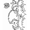 Hedgehog_Coloring_Pages_012.jpg