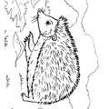 Hedgehog_Coloring_Pages_020.jpg
