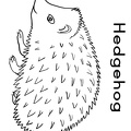Hedgehog_Coloring_Pages_063.jpg