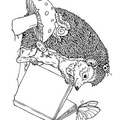 Hedgehog Coloring Book Page