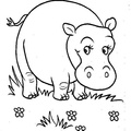 Hippopotamus Hippo Coloring Book Page