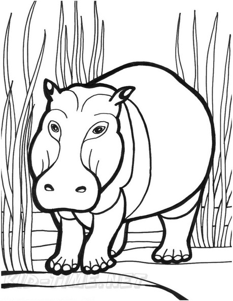 Hippo_Coloring_Pages_069.jpg