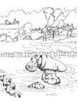 Baby Hippopotamus Hippo Coloring Book Page