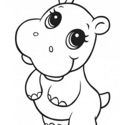 Hippo Cute