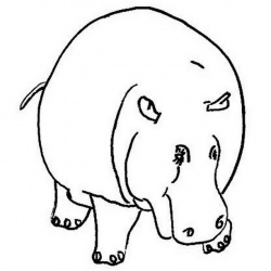 Hippo Simplistic