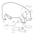Hippo_Coloring_Pages_003.jpg