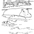 Hippo_Coloring_Pages_101.jpg