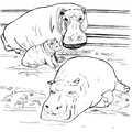Hippo_Coloring_Pages_111.jpg