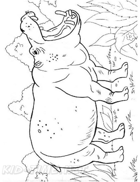 Realistic Hippopotamus Hippo Coloring Book Page