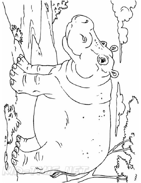 Hippo_Coloring_Pages_121.jpg