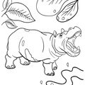 Hippo_Coloring_Pages_122.jpg