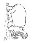 Realistic Hippopotamus Hippo Coloring Book Page