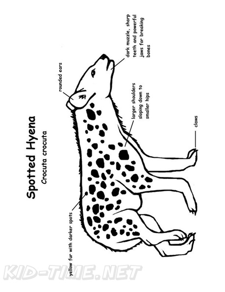 Hyena Coloring Book Page Free Coloring Book Pages Printables