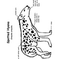 Hyena_Coloring_Pages_006.jpg
