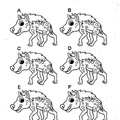 Hyena_Coloring_Pages_007.jpg