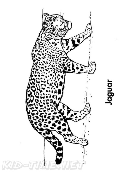 Jaguar Coloring Book Page Free Coloring Book Pages Printables