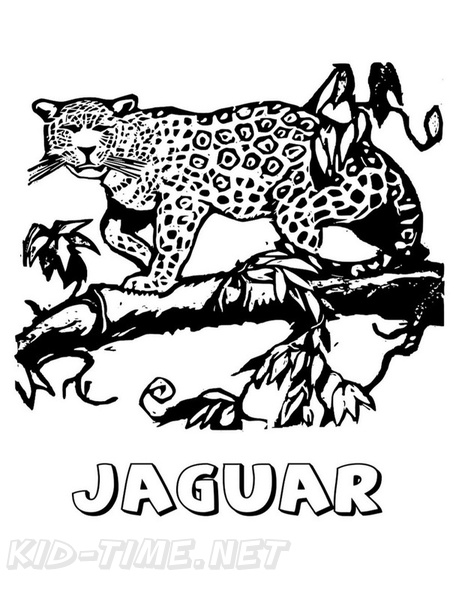 Jaguar_Coloring_Pages_007.jpg