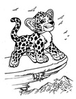 Jaguar Coloring Book Page