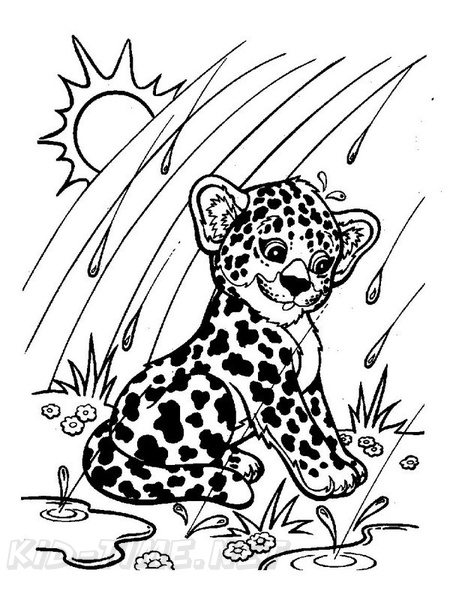Coloring Pages For Kids Jaguar : Jaguar Coloring Pages Best Coloring