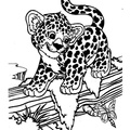 Jaguar_Coloring_Pages_011.jpg