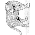 Jaguar_Coloring_Pages_019.jpg