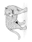 Jaguar Coloring Book Page
