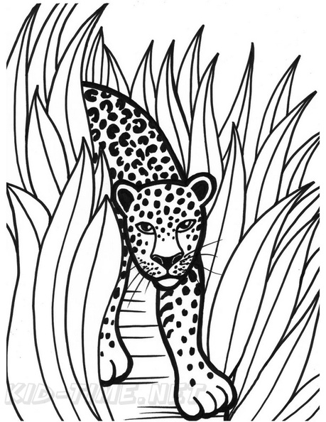Jaguar_Coloring_Pages_031.jpg