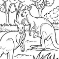 Baby_Kangaroo_Coloring_Pages_009.jpg