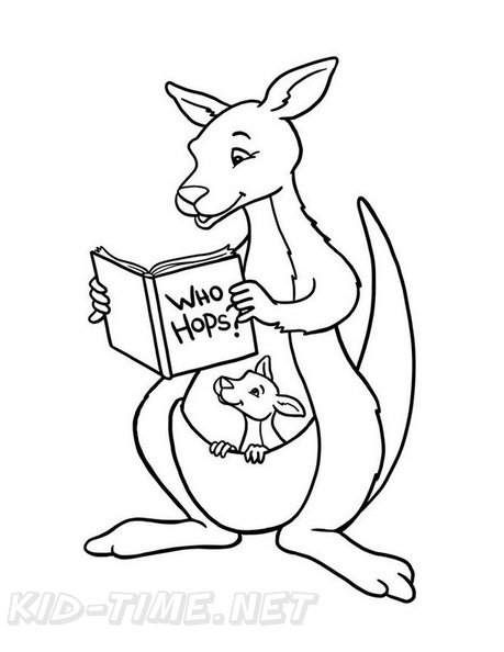 Baby Kangaroo Joey Coloring Book Page Free Coloring Book Pages Printables