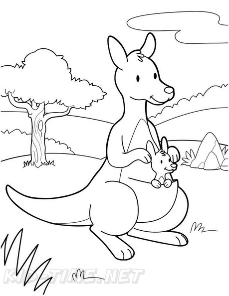 Baby_Kangaroo_Coloring_Pages_013.jpg