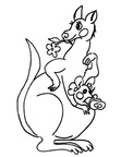 Cute Kangaroo Coloring Book Page