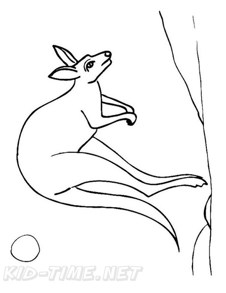 Kangaroo_Coloring_Pages_043.jpg