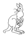 Kangaroo Coloring Book Page