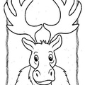 Moose Coloring Book Pages Coloring Book Page