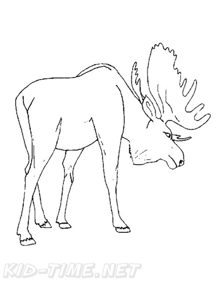 Free Printable Moose Coloring Pages