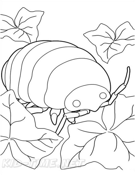 The Borrower Arrietty Coloring Book Page Free Coloring Book