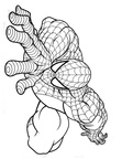 Spiderman-Coloring-Pages-033