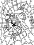 Superman Coloring Book Page